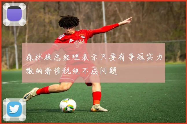 森林狼总经理表示只要有争冠实力缴纳奢侈税绝不成问题