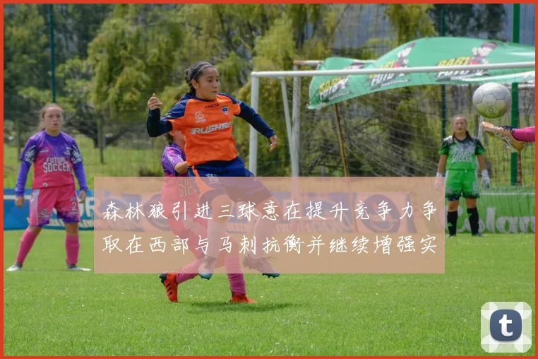 森林狼引进三球意在提升竞争力争取在西部与马刺抗衡并继续增强实力
