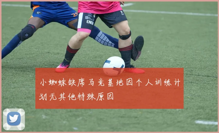 小蜘蛛缺席马竞基地因个人训练计划无其他特殊原因